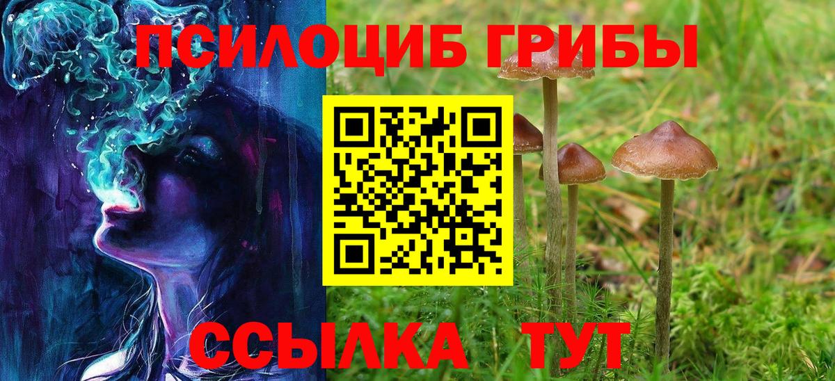 Галлюциногенные грибы GOLDEN TEACHER Сосновоборск